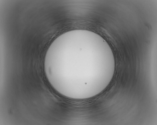 X0000111870368200907231156