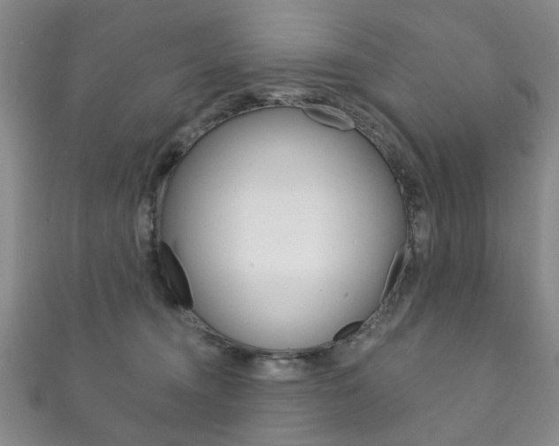 X0000111870372200907231156