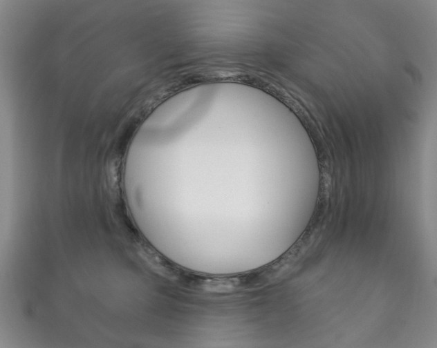 X0000111870373200907231156