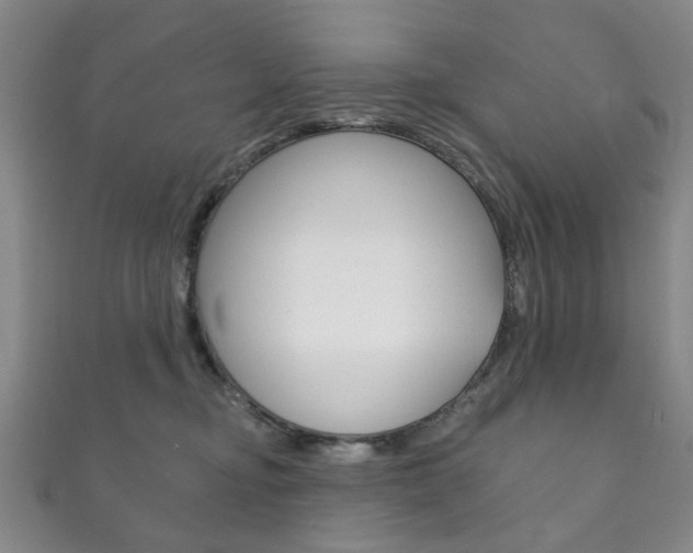 X0000111870374200907231156