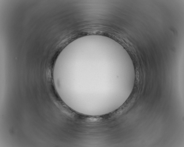 X0000111870375200907231156