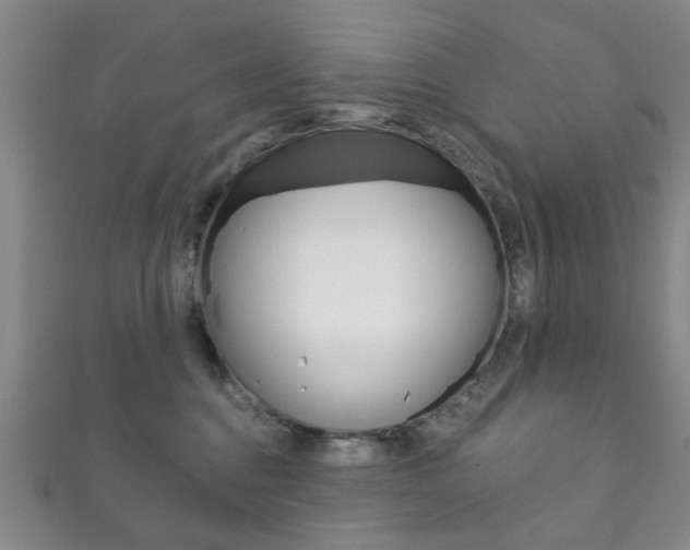 X0000111870376200907231156