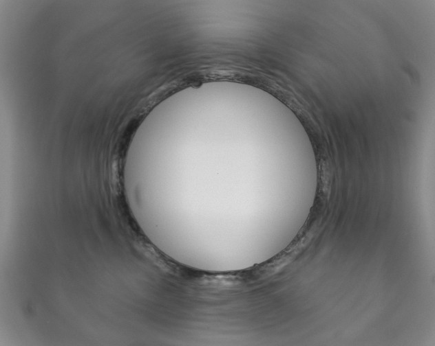X0000111870378200907231156