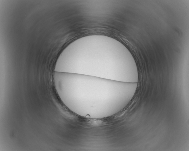 X0000111870379200907231156