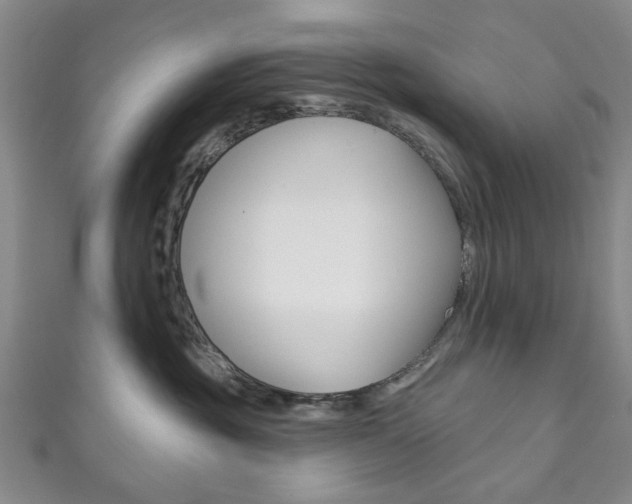 X0000111870381200907231156