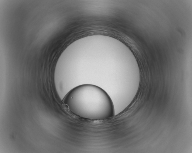 X0000111870382200907231156