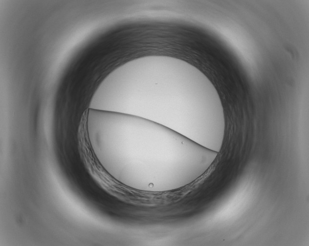 X0000111870383200907231156
