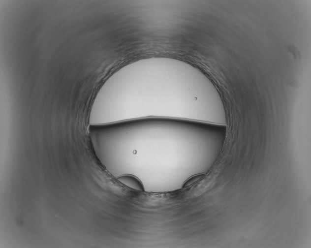 X0000111870384200907231156