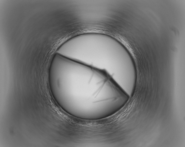 X0000111870385200907231155
