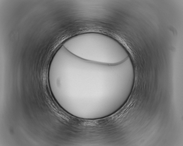 X0000111870386200907231155