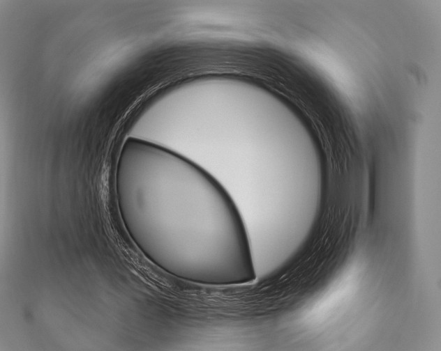 X0000111870387200907231155