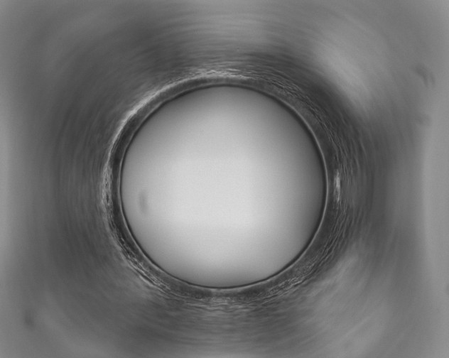 X0000111870388200907231155