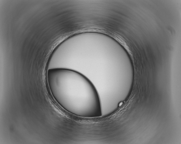 X0000111870389200907231155