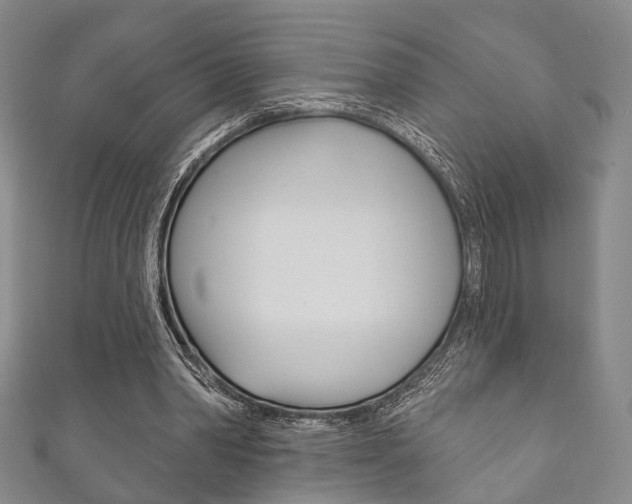 X0000111870390200907231155