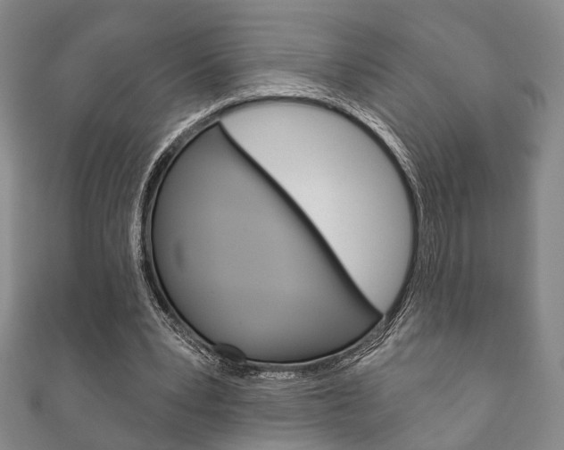 X0000111870391200907231155