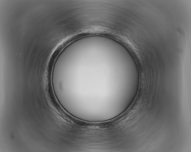 X0000111870392200907231155