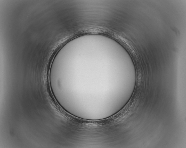 X0000111870394200907231155