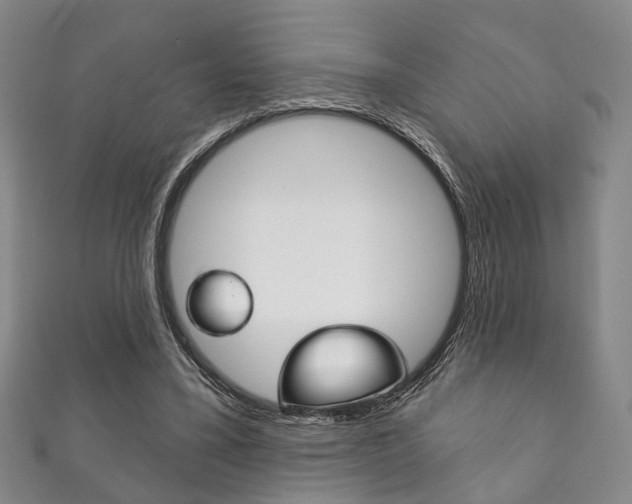 X0000111870395200907231155