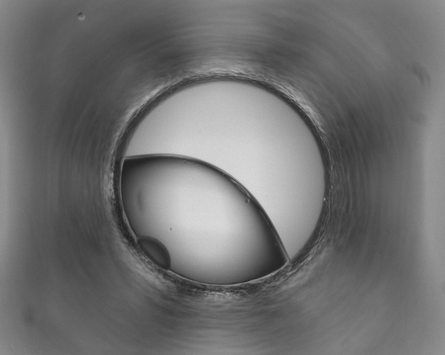 X0000111870399200907231155