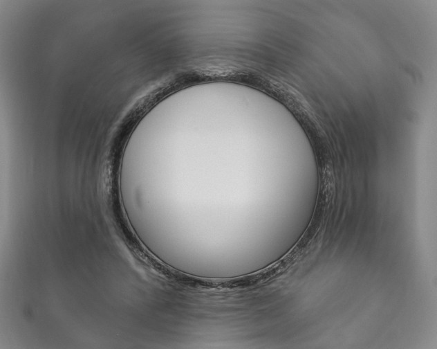 X0000111870400200907231155