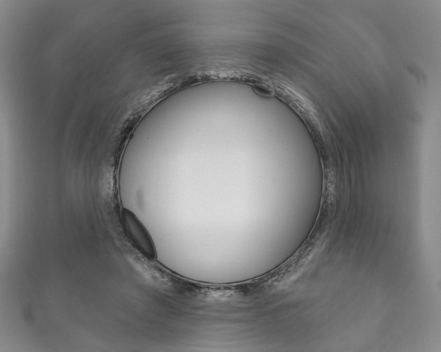 X0000111870401200907231155