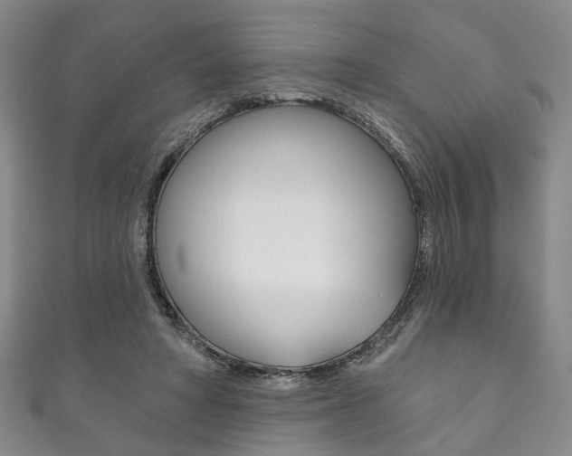 X0000111870402200907231155