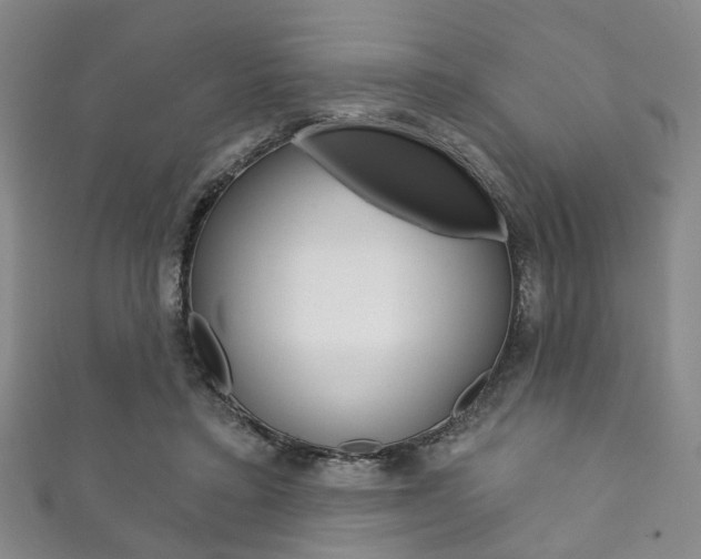 X0000111870403200907231155