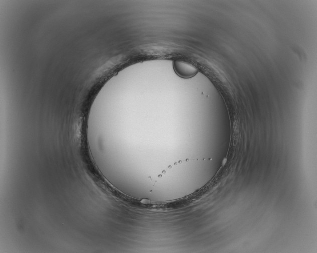 X0000111870404200907231155