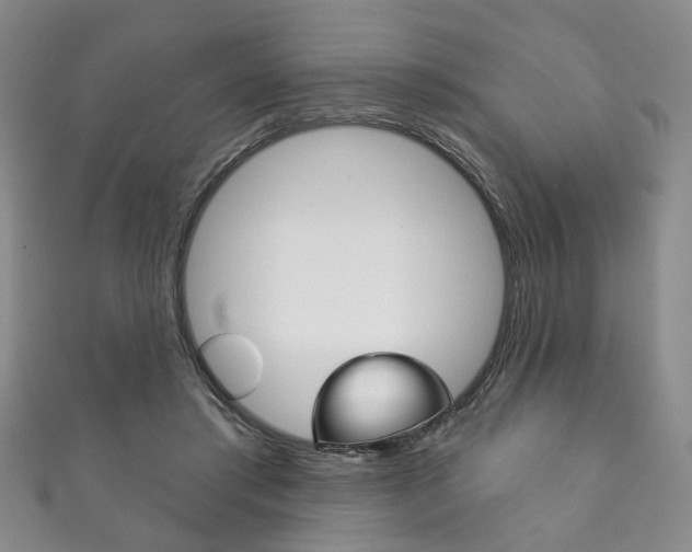 X0000111870405200907231155