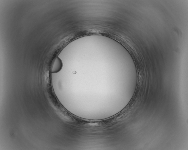 X0000111870406200907231155