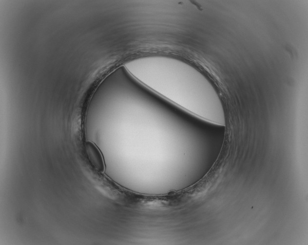 X0000111870407200907231155