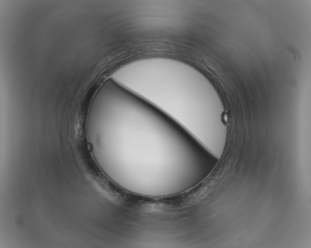 X0000111870408200907231155