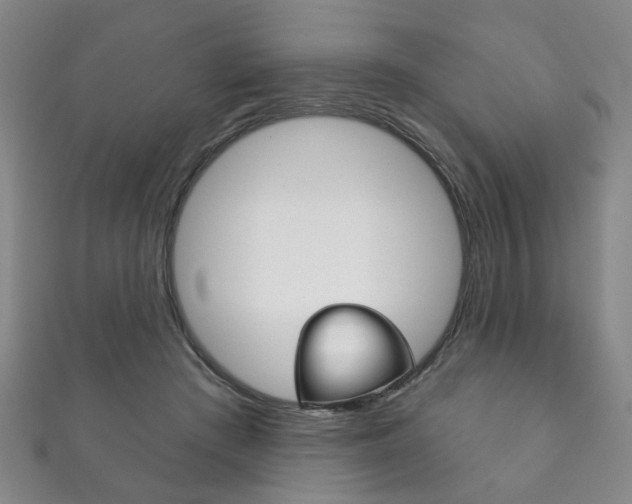 X0000111870409200907231155