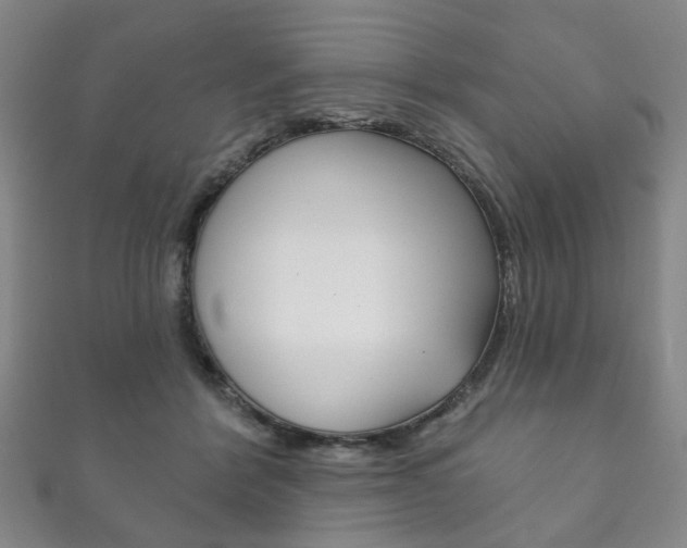 X0000111870412200907231155