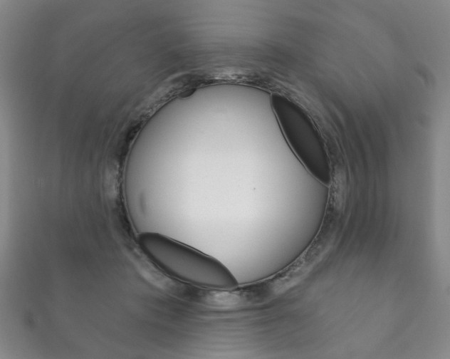 X0000111870413200907231155