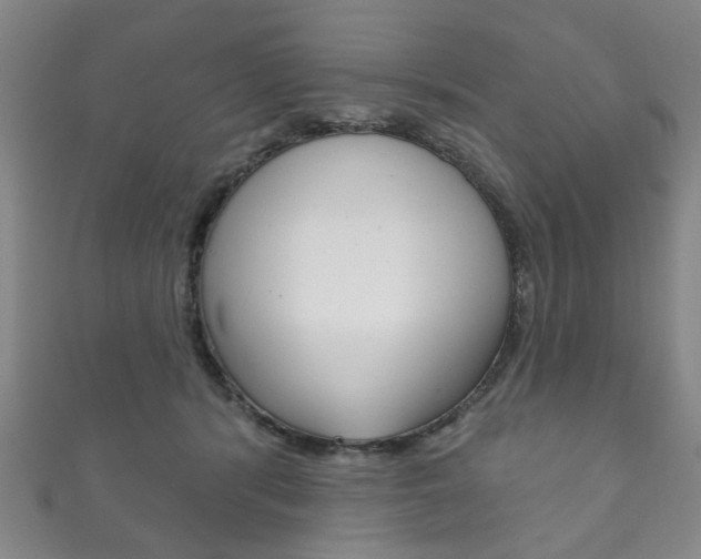 X0000111870416200907231155