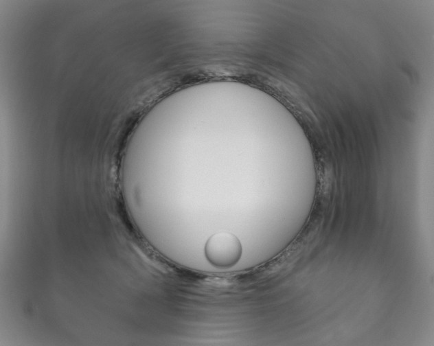 X0000111870418200907231155
