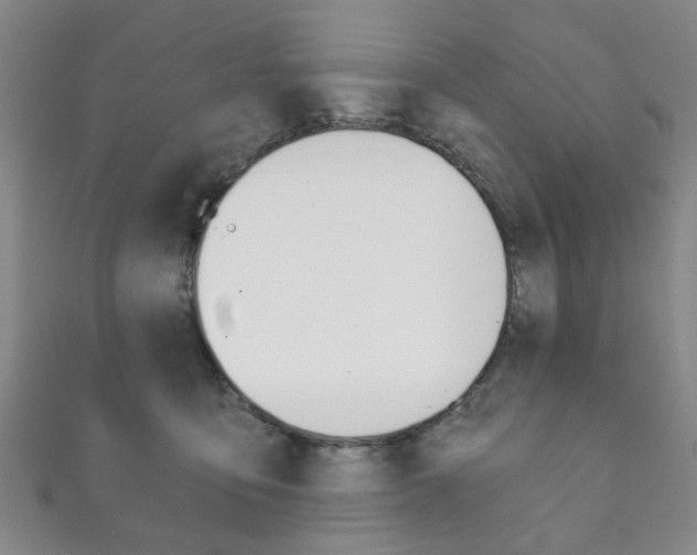 X0000111870419200907231155