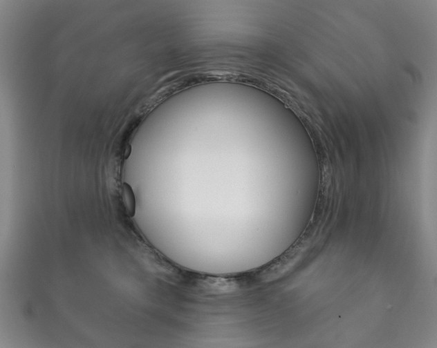 X0000111870421200907231155