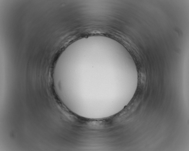 X0000111870422200907231155