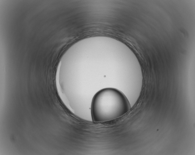 X0000111870423200907231155