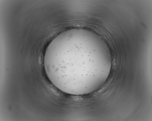 X0000111870424200907231155