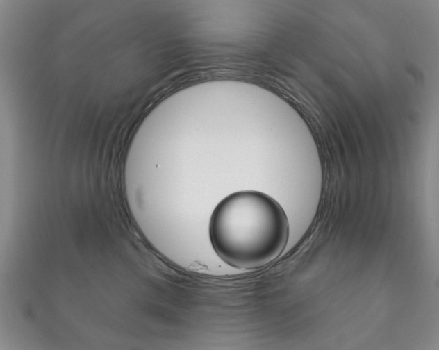 X0000111870425200907231155