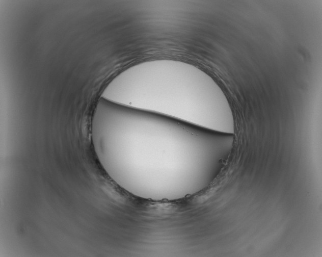 X0000111870428200907231155