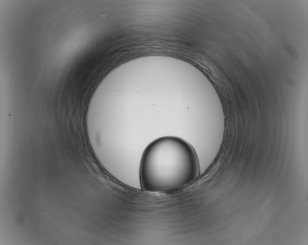 X0000111870429200907231155