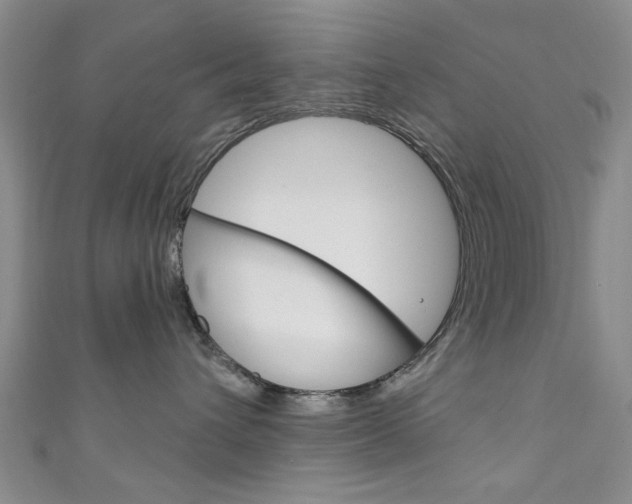 X0000111870432200907231155