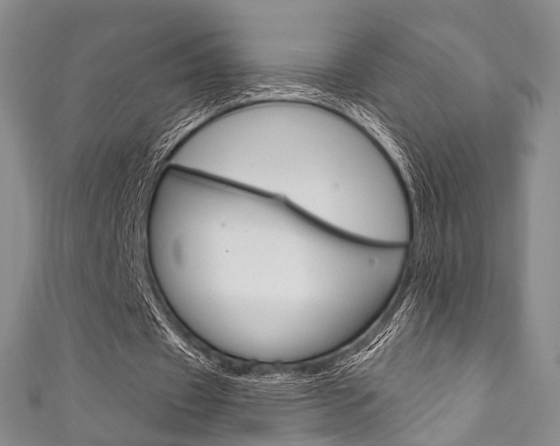 X0000111870433200907231154