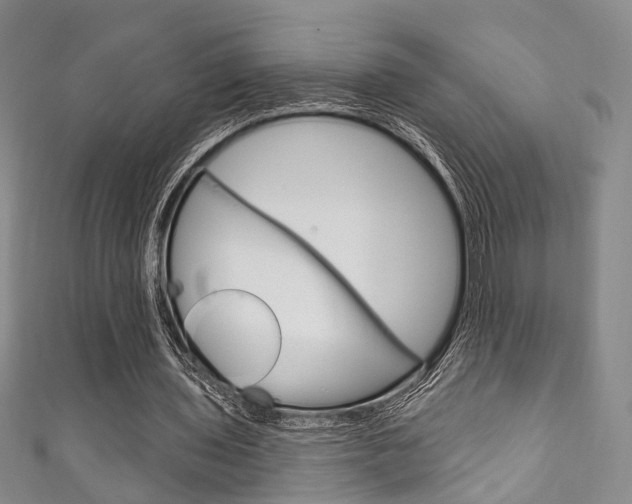 X0000111870435200907231154