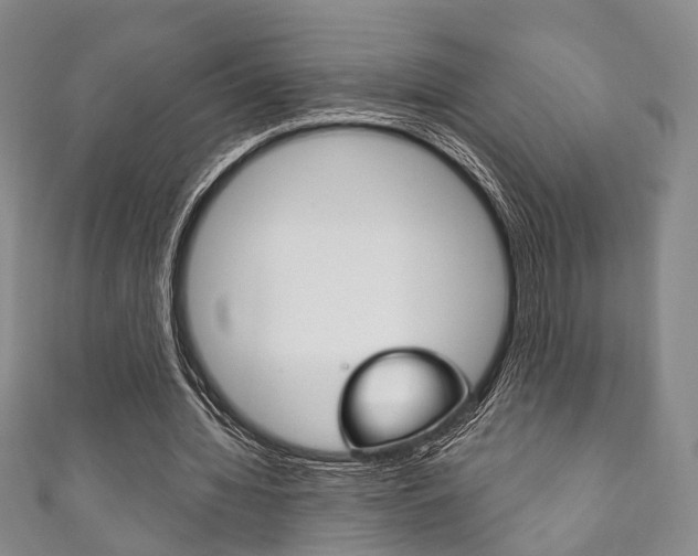 X0000111870436200907231154