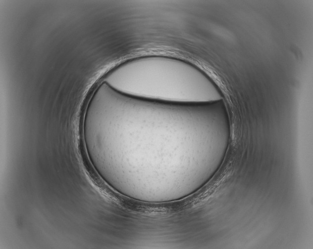 X0000111870438200907231154